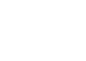 Logo Mégacité blanc