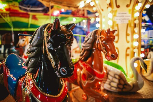 manege manege